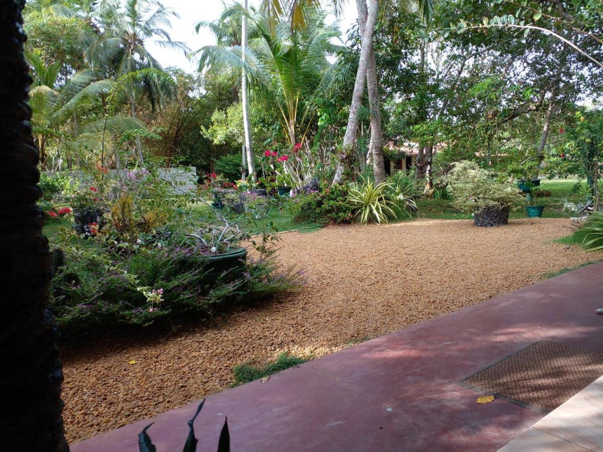 Zum Deutschen Bed & Breakfast Bentota Luaran gambar