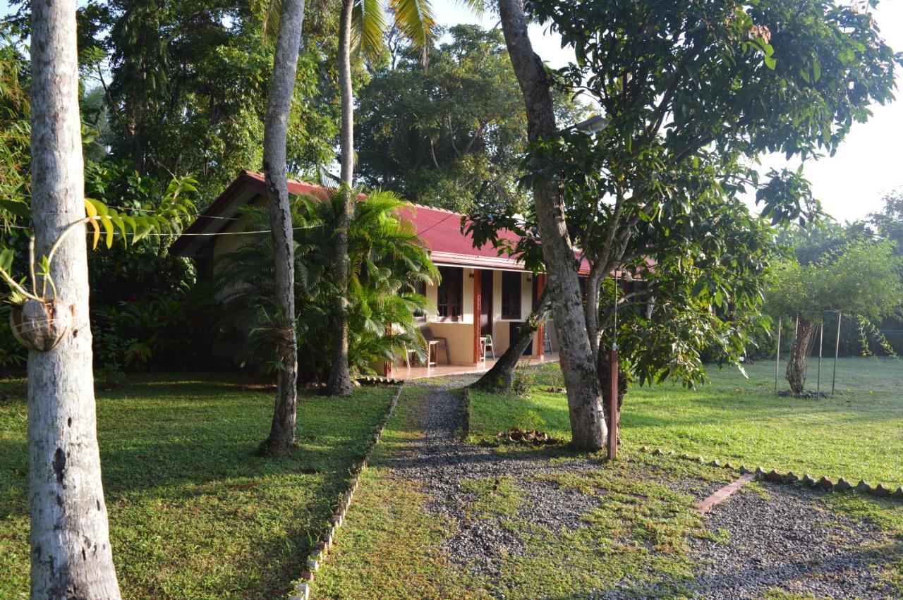 Zum Deutschen Bed & Breakfast Bentota Luaran gambar