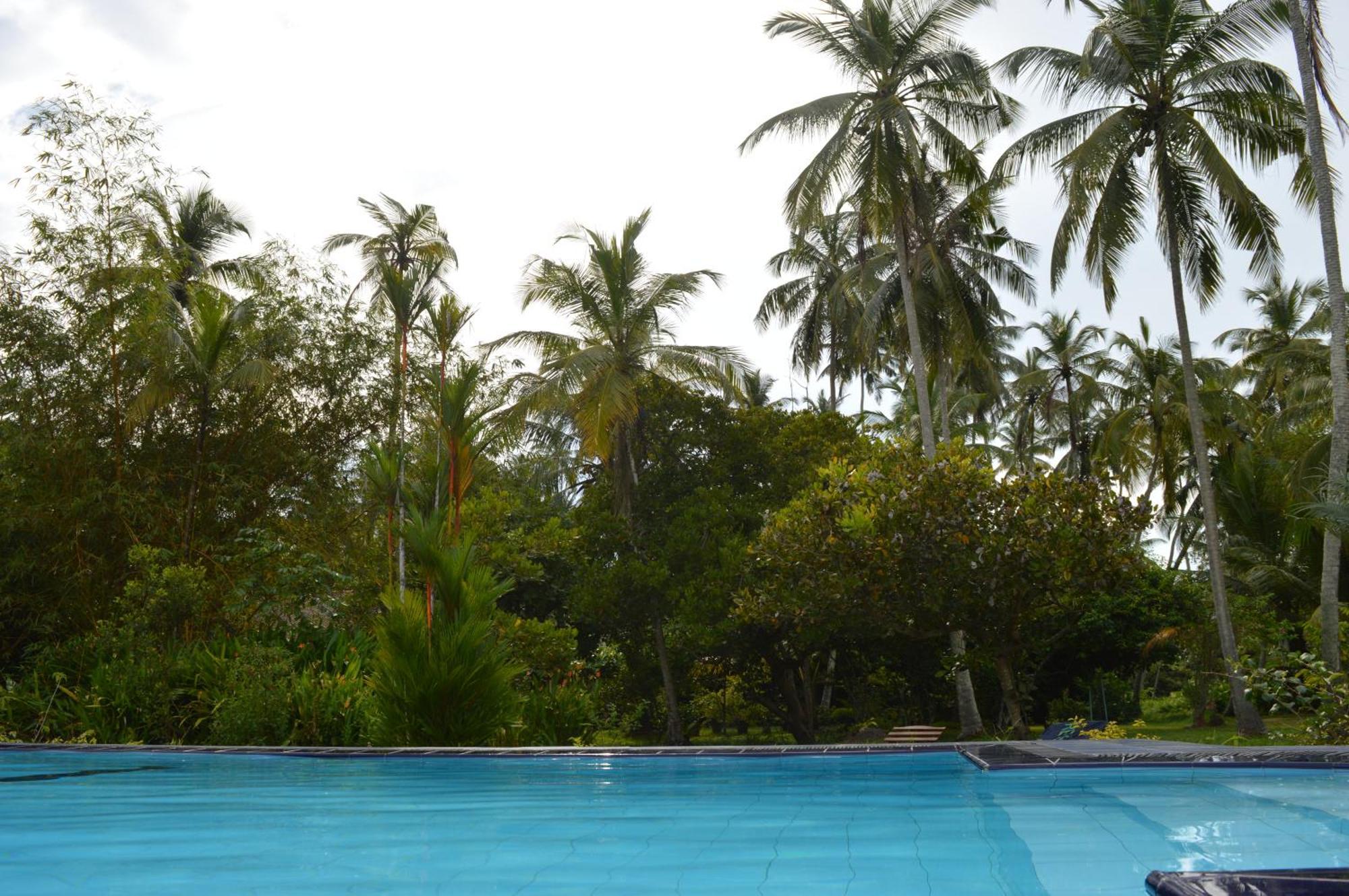 Zum Deutschen Bed & Breakfast Bentota Luaran gambar