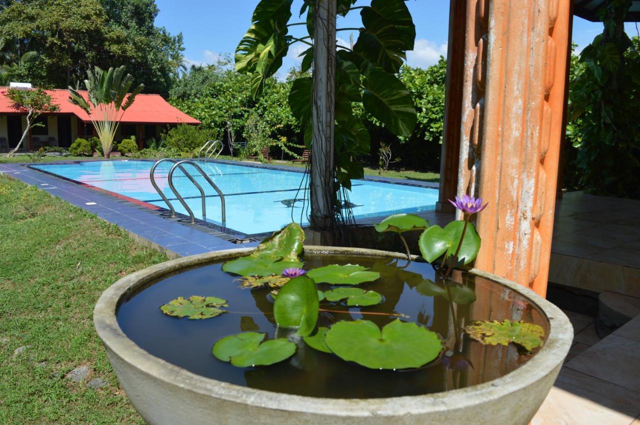 Zum Deutschen Bed & Breakfast Bentota Luaran gambar
